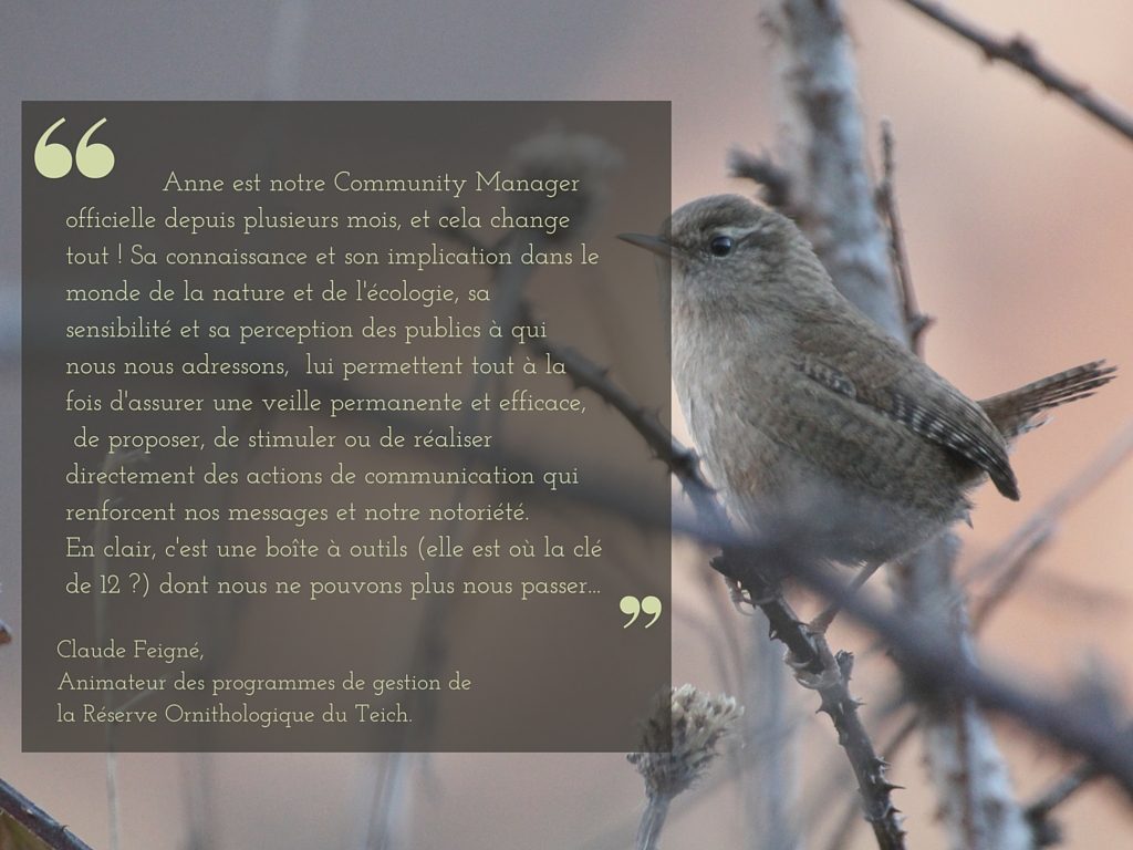 témoignage réserve ornithologique du teich