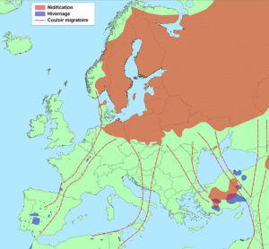 Carte de répartition de la Grue cendrée