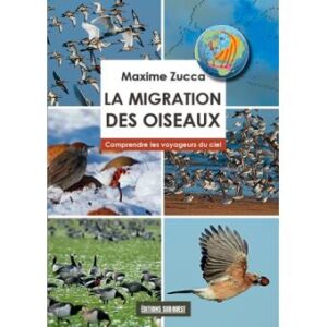 La migration des oiseaux, Maxime Zucca, Editions Sud Ouest