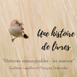 Découvrez le premier numéro d'Une histoire de livres, série qui vous présente des livres d'ornithologie! Cette semaine, Histoires remarquables - les oiseaux