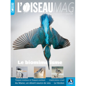 Un abonnement à une revue spécialisée, l'une des idées cadeaux d'une histoire de plumes à offrir à un passionné d'oiseaux