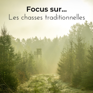 Découvrez le nouvel article du bird-blog sur les chasses traditionnelles des oiseaux en France