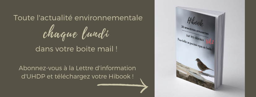 Inscrivez-vous à la Lettre d'information d'une histoire de plumes