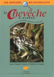 La chevêche d'athena, une monographie d'oiseau, un nouvel article du Bird-Blog d'Une histoire de plumes