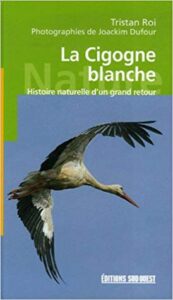 La cigogne blanche, une monographie d'oiseau, un nouvel article du Bird-Blog d'Une histoire de plumes