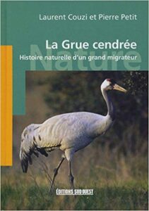 La grue cendrée, une monographie d'oiseau, un nouvel article du Bird-Blog d'Une histoire de plumes