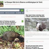 Scoopit ROT la réserve ornithologique du teich est sur scoopit