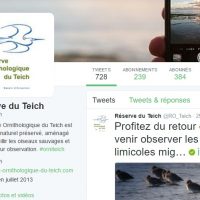 Twitter ROT la réserve ornithologique du teich est sur twitter