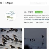 Instagram ROT la réserve ornithologique du teich est sur instagram
