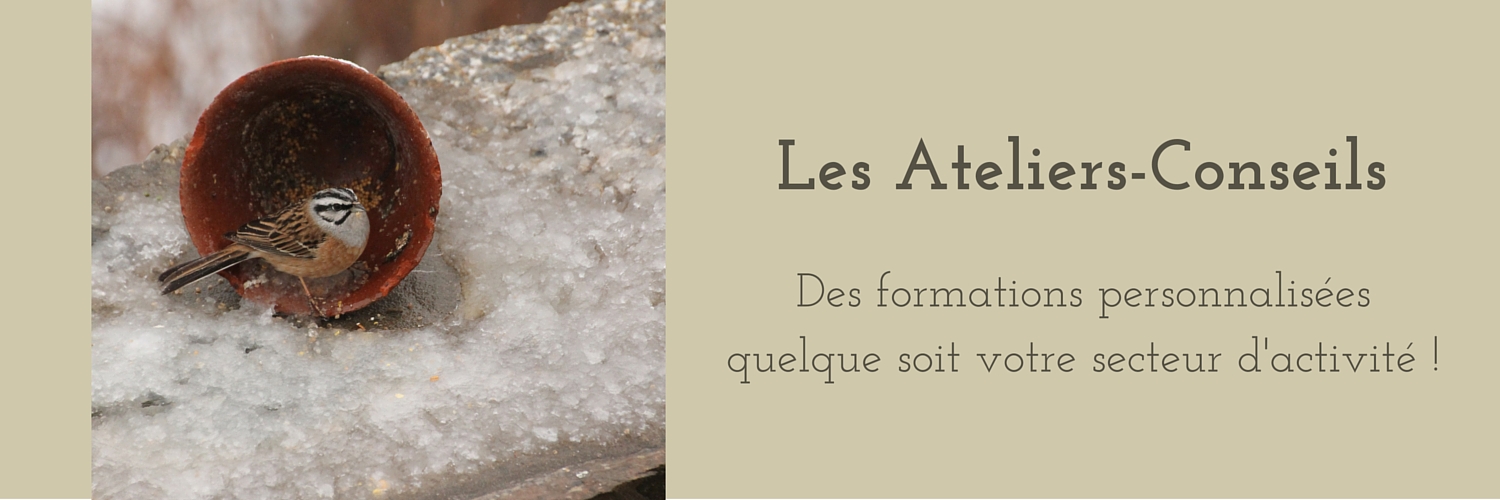 les ateliers-conseils en e-learning