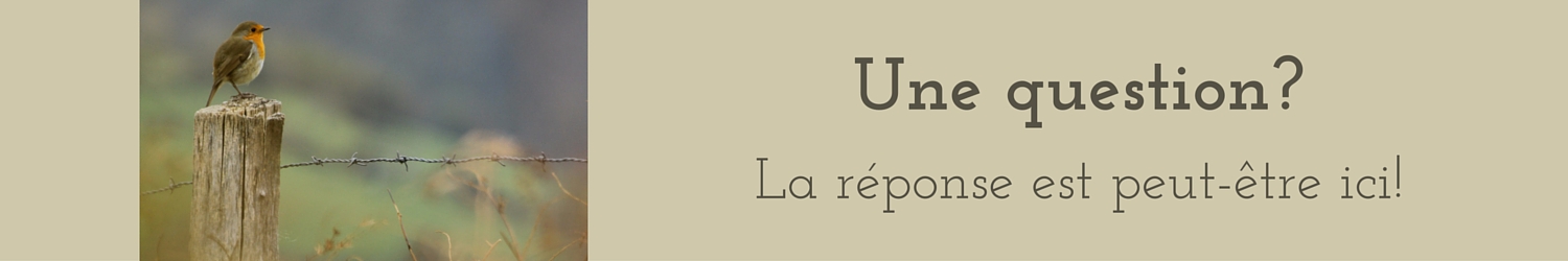 une question? rendez-vous dans la FAQ