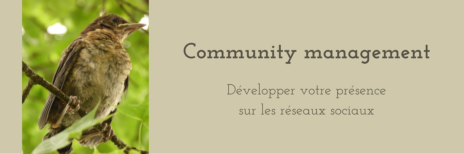 Community management par une histoire de plumes