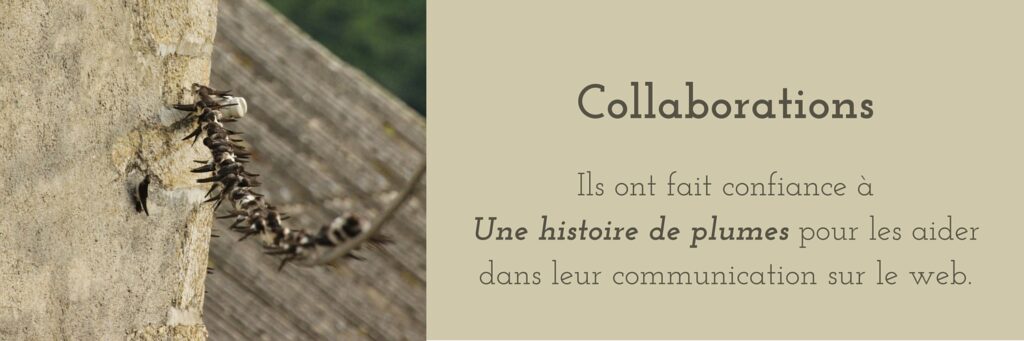 les collaborations d'une histoire de plumes