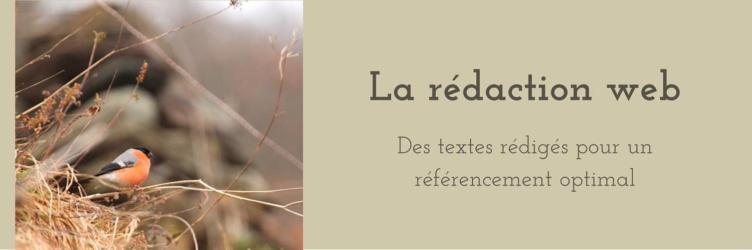 la rédaction web