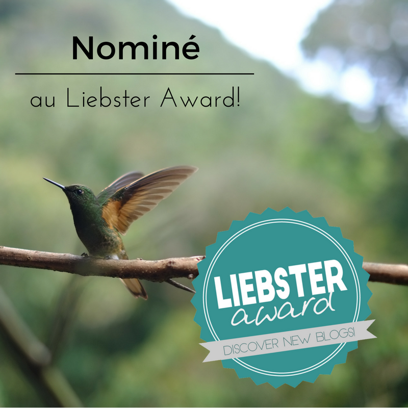 Nominé au Liebster Award !