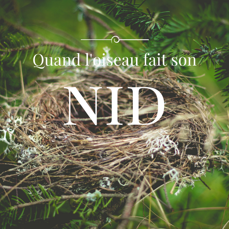 le nid des oiseaux