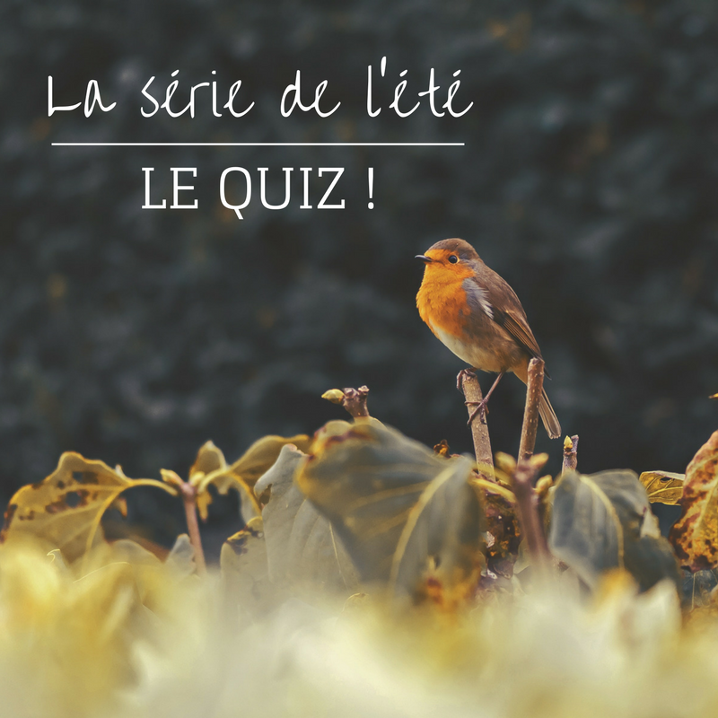 la série de l'été: le quiz