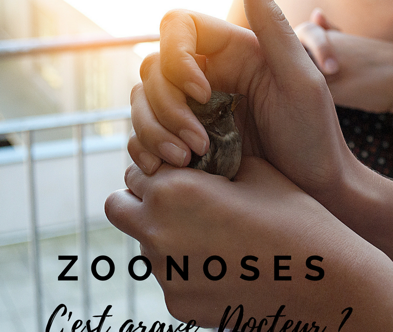 Zoonoses: c’est grave, docteur?