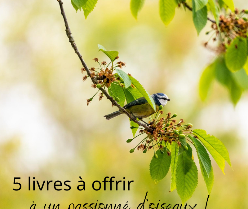 5 livres à offrir à un passionné d’oiseaux!