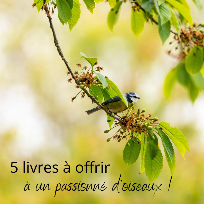 5 livres à offrir à un passionné d'oiseaux