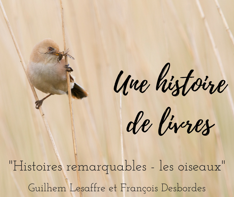 Une histoire de livres: « Histoires remarquables-les oiseaux »