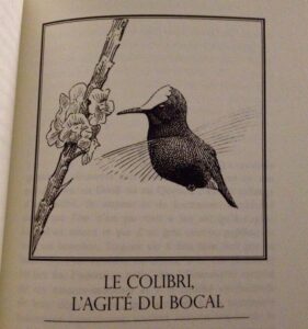 Une illustration du livre Histoires remarquables, sujet de notre série Une histoire de livres, du blog d'Une histoire de plumes