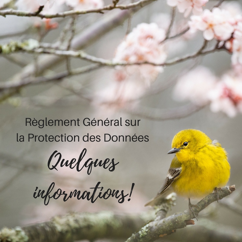 Informations sur le RGPD - Une histoire de plumes - Politique de confidentialité