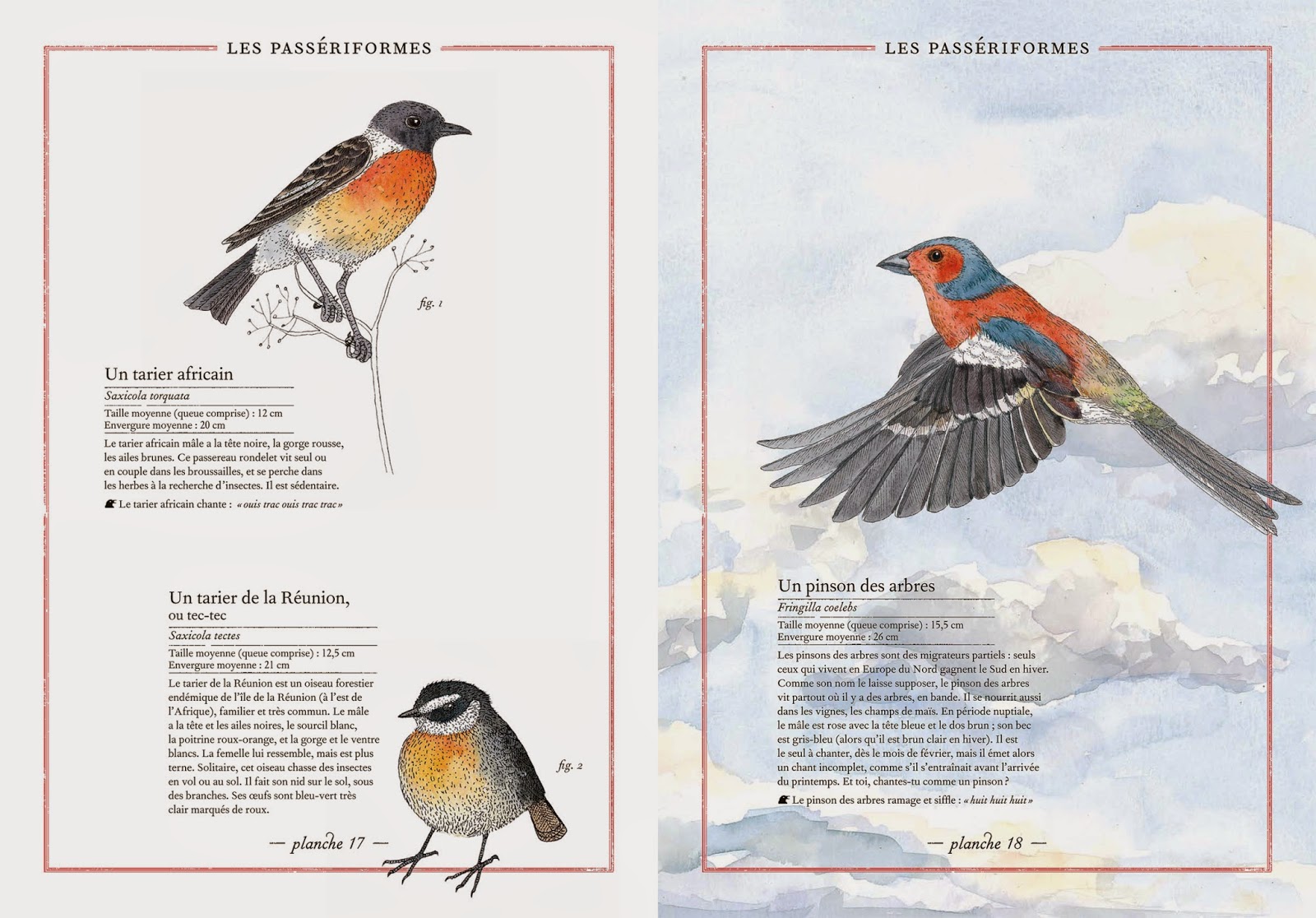 l'inventaire illustré des oiseaux, un des livres présentés dans le nouvel article du bird-blog d'une histoire de plumes