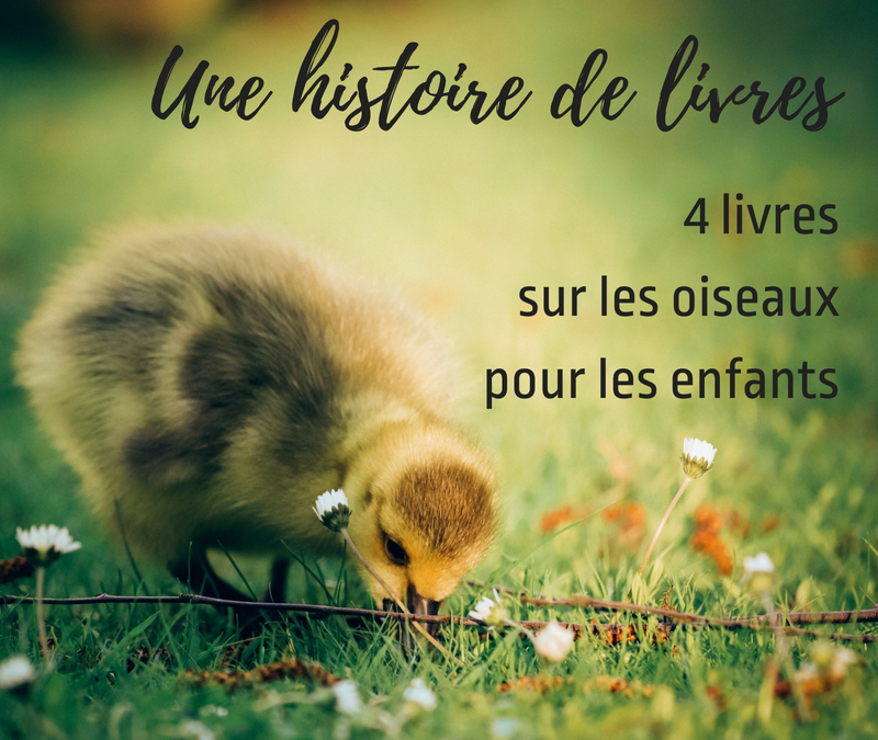 4 livres sur les oiseaux pour les enfants