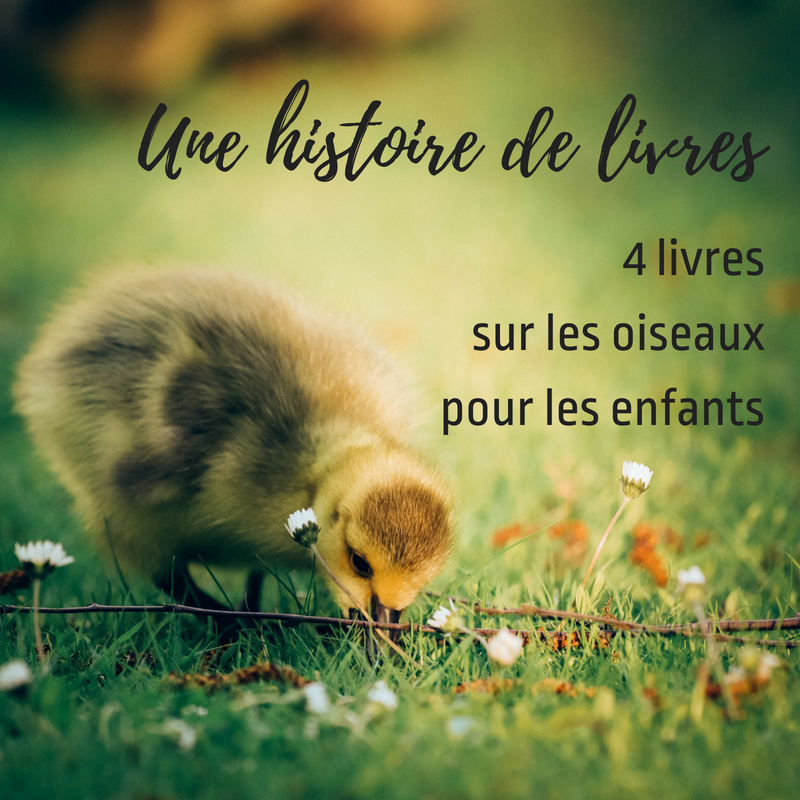 Une histoire de livres - 4 livres sur les oiseaux pour les enfants, un article du Bird-blog d'une histoire de plumes