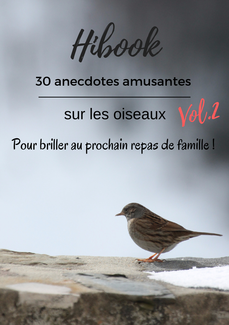 Téléchargez gratuitement votre hibook d'une histoire de plumes "30 anecdotes amusantes sur les oiseaux"