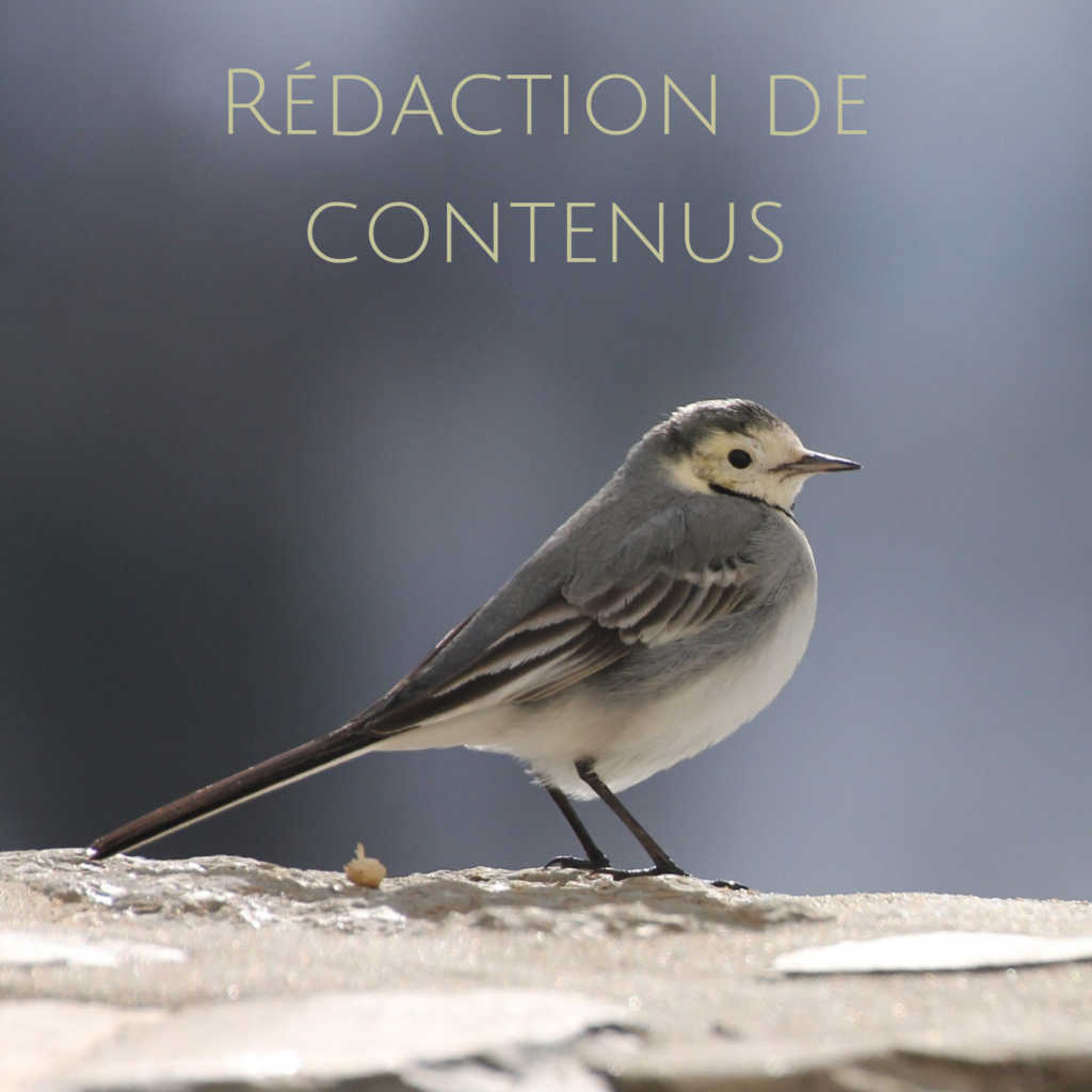 Rédaction de contenus web - un service proposé par une histoire de plumes - community management en gironde