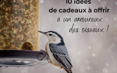 10 idées de cadeaux à offrir à un amoureux des oiseaux!