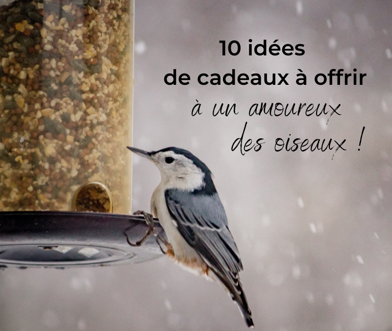 10 idées de cadeaux à offrir à un amoureux des oiseaux!