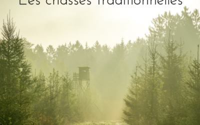 Focus sur…les chasses traditionnelles