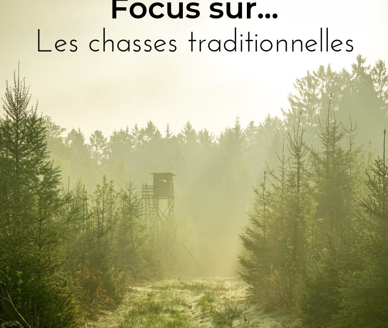 Focus sur…les chasses traditionnelles