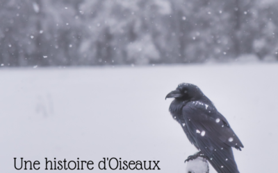 Une histoire d’Oiseaux: Corbeaux & Cie