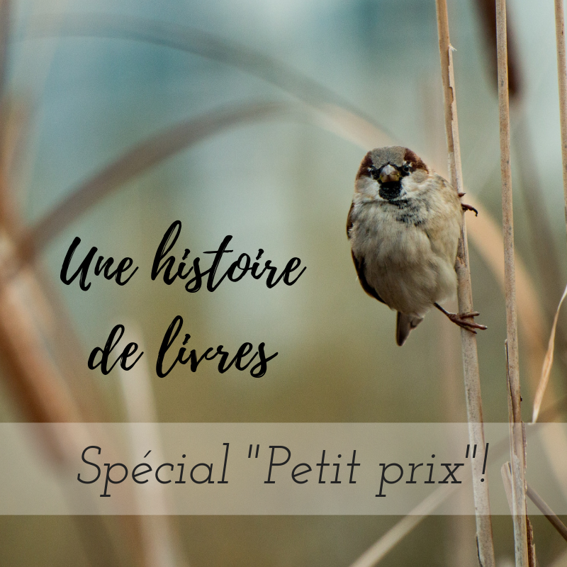 Nouvel article du Bird-Blog d'une histoire de plumes: une sélection de livres d'ornithologie à petit prix