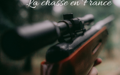 5 questions sur la chasse en France