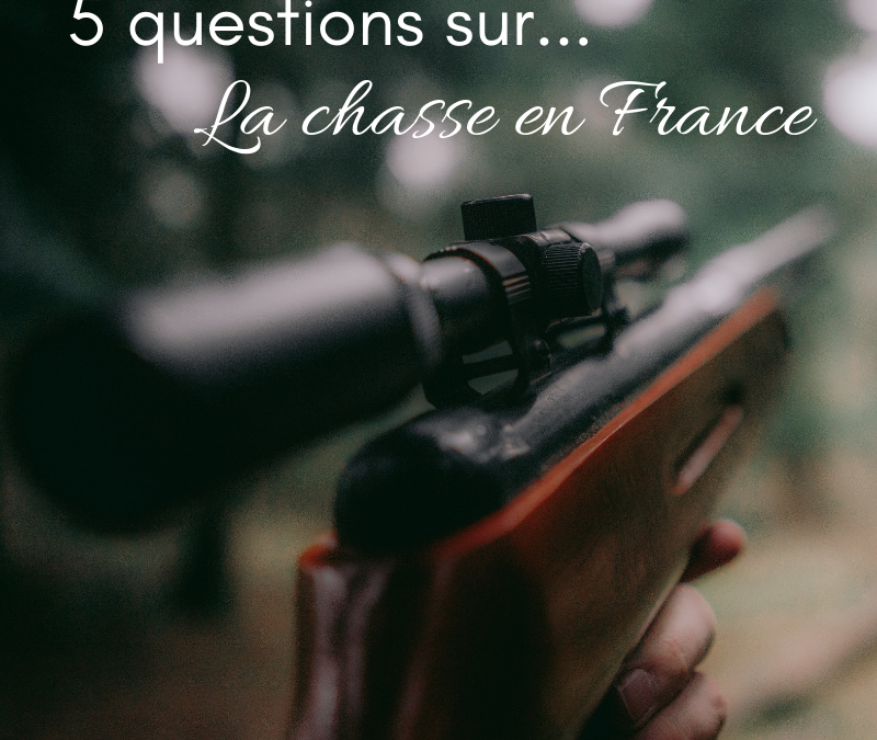 5 questions sur la chasse en France