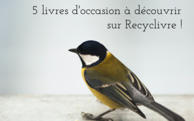 Une histoire de livres : 5 livres d’occasion à découvrir sur Recyclivre !