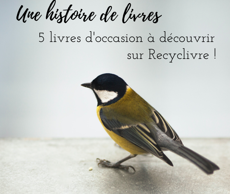 Une histoire de livres : 5 livres d’occasion à découvrir sur Recyclivre !