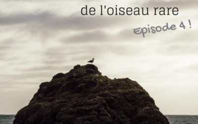 A la recherche de l’oiseau rare – Episode 4