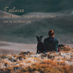 5 astuces pour limiter l'impact de son chien sur la biodiversité, le nouvel article du bird-blog d'une histoire de plumes