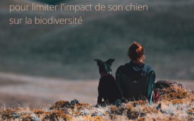 5 astuces pour limiter l’impact de son chien sur la biodiversité