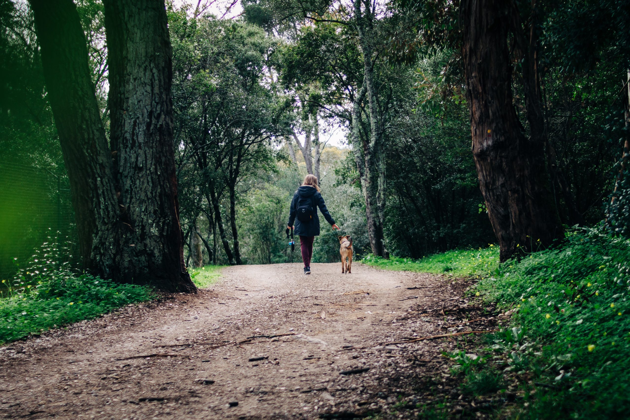 5 astuces pour limiter l'impact de son chien sur la biodiversité, le nouvel article du bird-blog d'une histoire de plumes