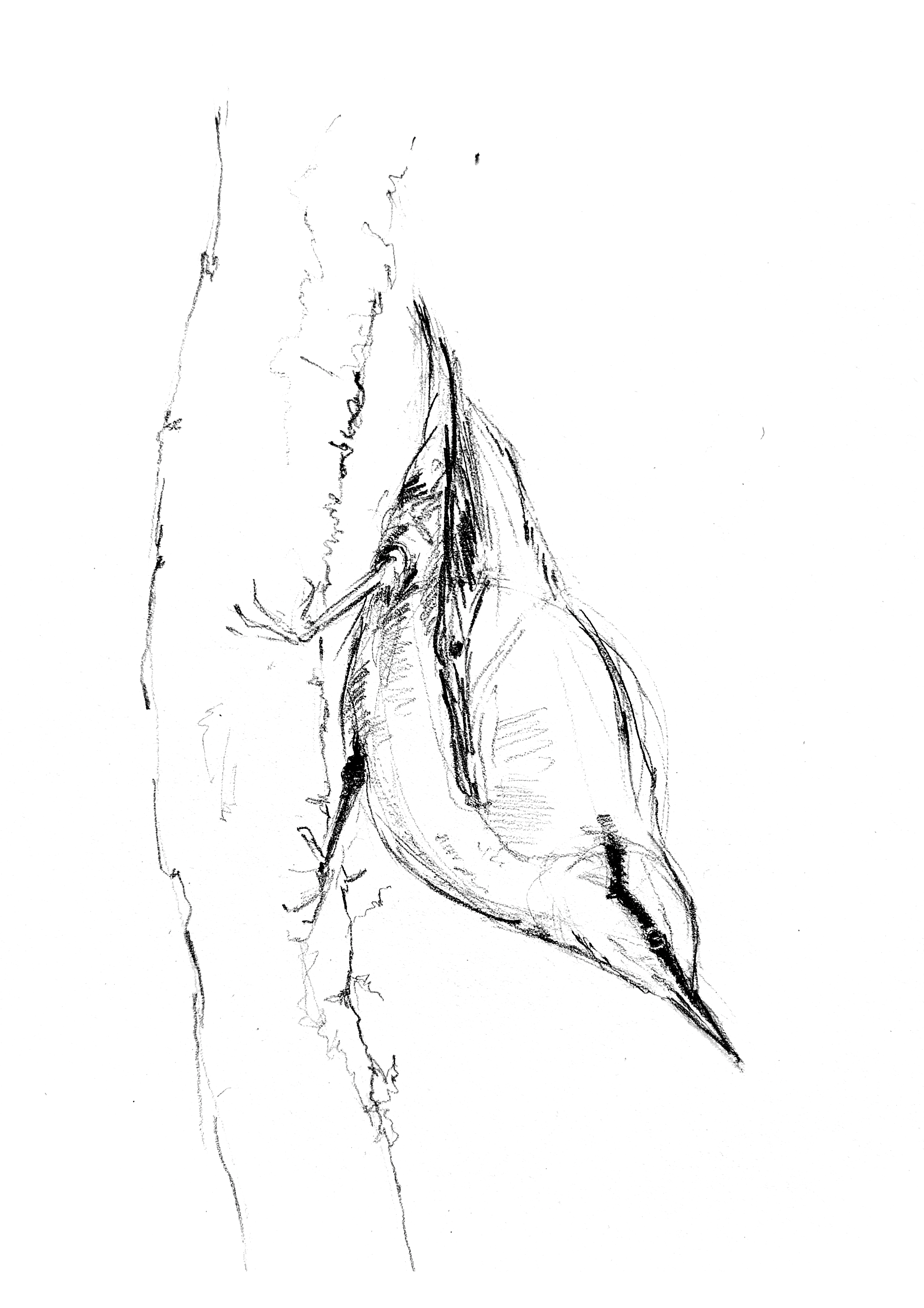 Accueil 3