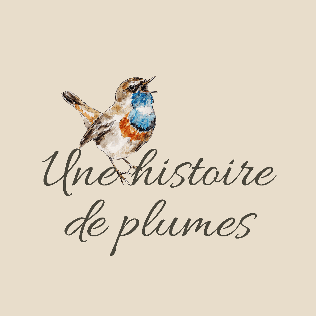 Une histoire de plumes