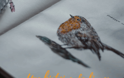 Une histoire de livres