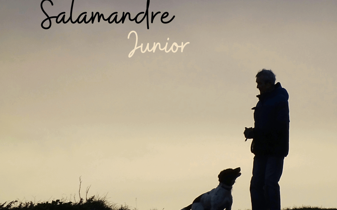 Une histoire de…Salamandre Junior – Hors-série n°13